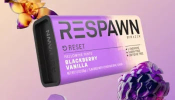 Respawn Mints - Power Bank 9