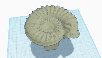 Крышка сцепного устройства прицепа Ammonite...... 1