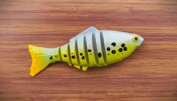 SWIM BAIT