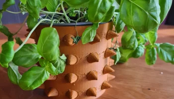 Spike Vase 3