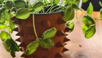 Spike Vase