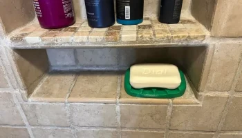 Soap Dish 3