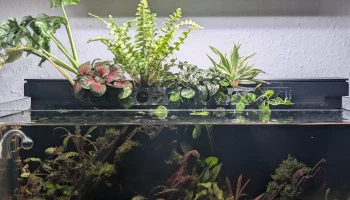 Погружной держатель для растений Xiaomi MYG100 Fish Tank... 1