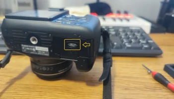 Выступ/пружина крышки аккумуляторного отсека Canon EOS R...