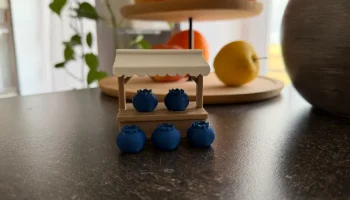 Blueberry 2