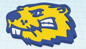 BVU Magnet 1