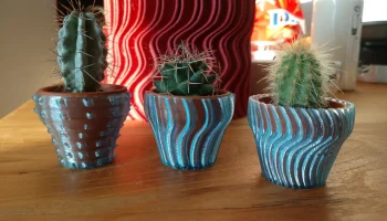 Мини-горшочки/ваза CACTACEAE