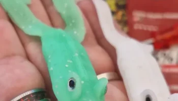 LEURRE SOUPLE P&Ecirc;CHE GRENOUILLE