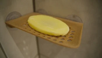soap dish 4