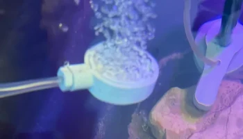 Аквариумный аквариум Airstone Bubbler