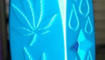 БЕСПЛАТНЫЙ корпус 420 bic! 3