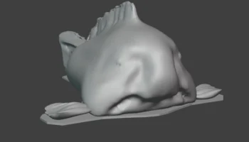 blobfish 1