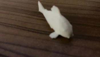 Магнит Cory Catfish 4