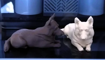 Корги собака 2