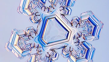 ВАЗА СНЕЖИНКА 1