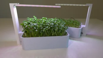 Smart Sprouts/зеленая система выращивания в помещении 7