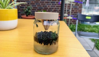 Ловушка для мух 0