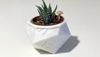 d20 Горшок с растением 5