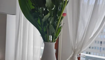 Водонепроницаемая ваза для цветов... 3