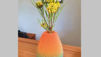 Fuzzy Vase
