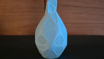 Fuzzy vase 1