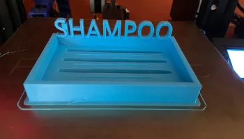 Блюдо из шампуня 1