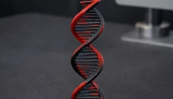 ДНК Спираль 3D Модель