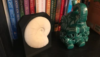 Экспозиция окаменелостей аммонита...... 1
