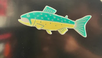 Trout Trout