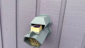 Mason Bee Hut - настенное крепление 1