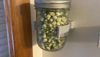 Настенное крепление для Mason Jar - 80 мм