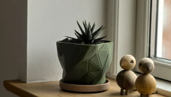 Mona pot