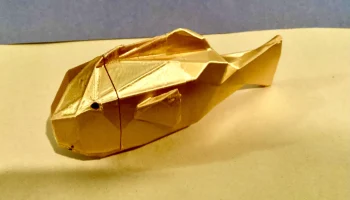Низкополигональный набор коралловых рифов Немо... 1