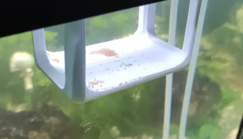 Кормушка для рыбы