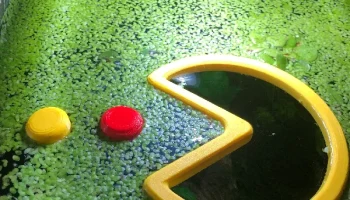 Рыбный портал Pacman