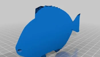 Распечатайте эту рыбу: задача 3D-печати... 3