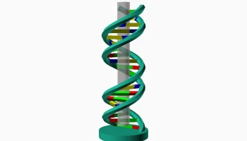DNA Vase 1