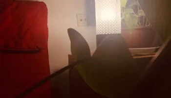 Cloudy Lamp - элегантное освещение с абажуром в режиме ва... 3