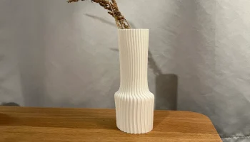 Wavy Vase 1
