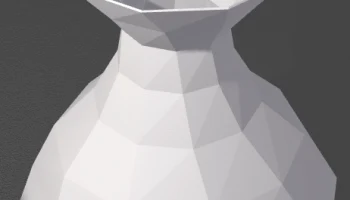 The Vase