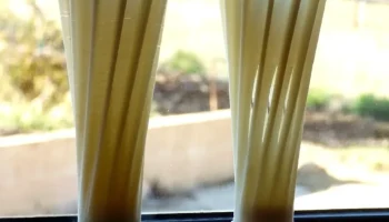 Vase-X1 1