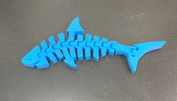 Шарнирчатая акула / Tibur&oacute;n articulado 1
