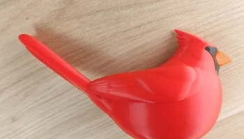 Сидящий Северный кардинал 3