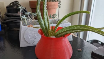 Small Vase