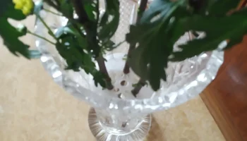 Вставка в вазу для цветов - для широких круглых ваз....... Вставка в вазу для цветов - для широких круглых ваз.......