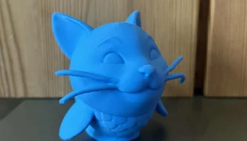 Сом 4