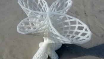 Polar vase 6