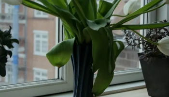 Vase V2 2