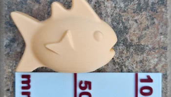 Fish 7