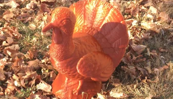 Turkey Jar